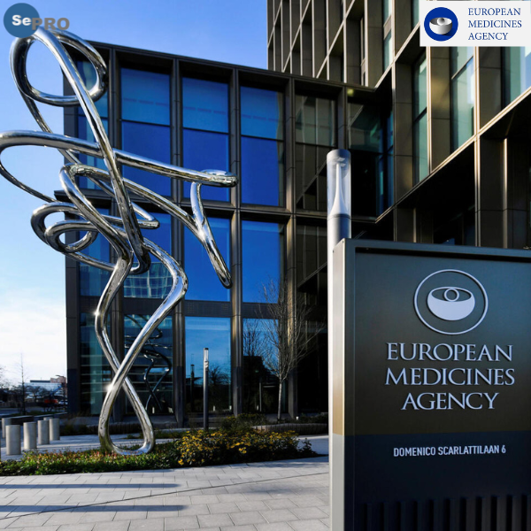 ema-vai-tro-thanh-tra-gmp