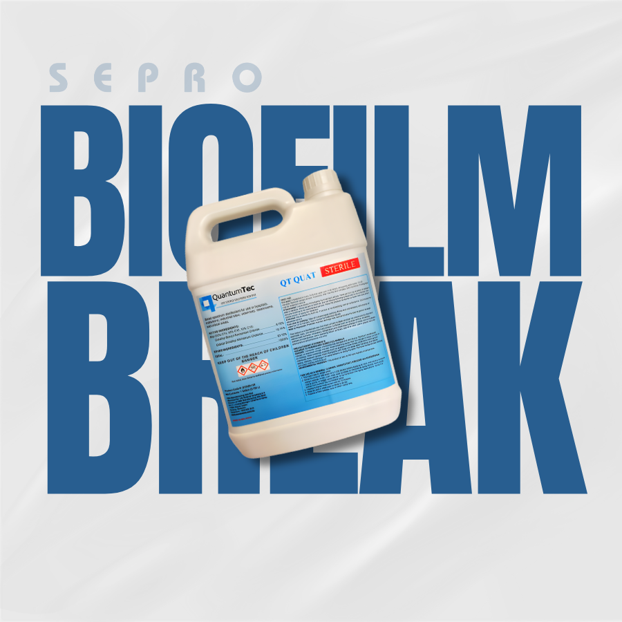 feature-image-tac-dong-cua-quat-tren-biofilm-va-vi-sinh